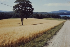 gr_2012_19